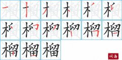 榴的笔顺笔画如何写？榴的拼音、部首、意思及组词