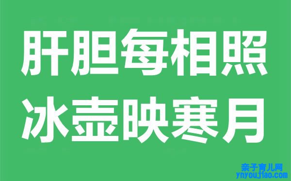 肝胆每相照，冰壶映寒月是什么意思,出处典故是什么