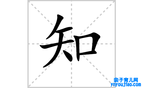 知的笔顺笔画怎么写（知的笔画、拼音、表明及成语详解）