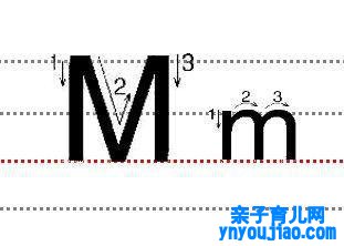 字母Mm的尺度写法