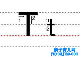 字母Tt的尺度写法