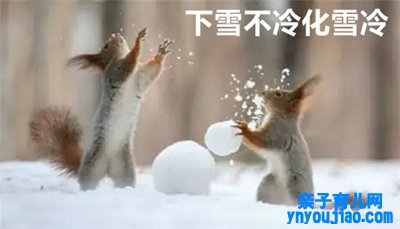 下雪不冷化雪冷