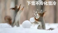 为什么下雪不冷化雪冷？