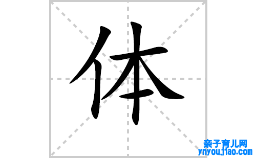 体的笔顺笔画怎么写（体的笔画、拼音、表明及成语详解）