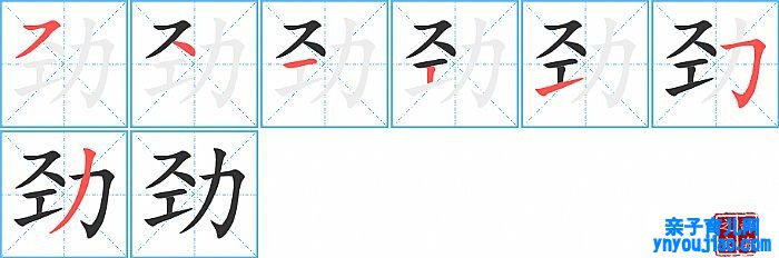 劲的笔顺、笔画