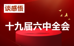 交警十九届六中全会谈感悟200字素材