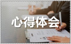 妇女代表谈学习党的十九届六中全会精神体会范文8篇