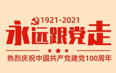 建党百年不忘初心永远跟党走心得体会范文5篇