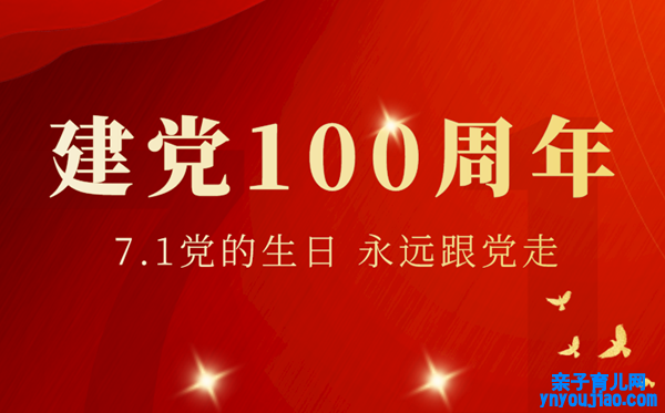 建党100周年主题党课进修心得体会范文