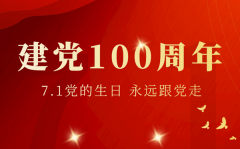 建党100周年主题党课学习心得体会范文5篇