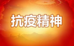 学习弘扬伟大抗疫精神心得体会5篇