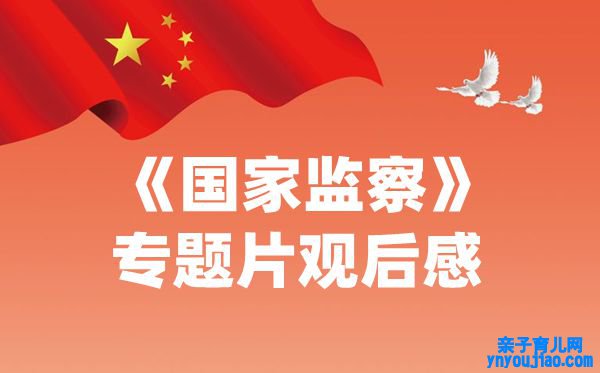 国度监察专题片观后感,2020国度监察有感