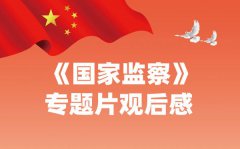 《国家监察》专题片观后感5篇_2020《国家监察》有感