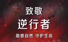 学习披甲逆行荣光而归事迹心得体会10篇