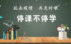 停课不停学中学生上网课学习方法心得精选5篇