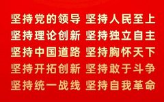 入党积极分子学习十个坚持心得体会范文精选5篇