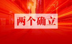 两个确立心得体会精选10篇_学习两个确立