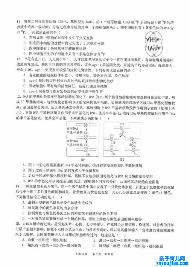 2022年八省联考生物试卷第3页