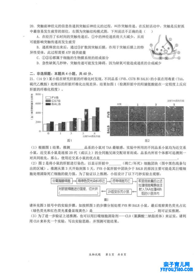 2022年八省联考生物试卷第5页