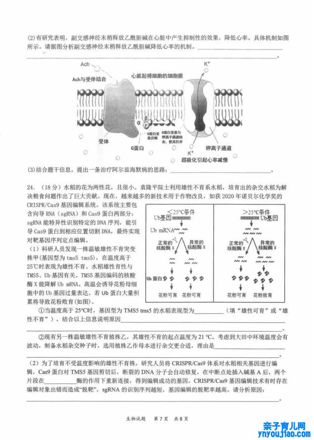 2022年八省联考生物试卷第7页