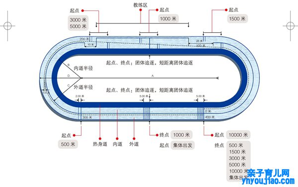 2022年北京冬奥会有哪些角逐项目,别离是什么