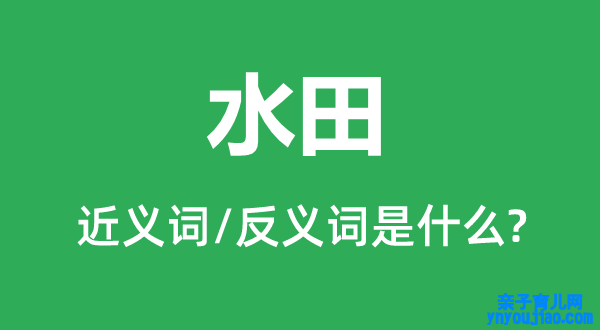 水田的近义词和反义词是什么,水田是什么意思