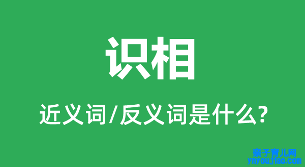 识相的近义词和反义词是什么,识相是什么意思