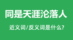 同是天涯沦落人的近义词和反义词是什么_同是天涯沦落人是什么意思?