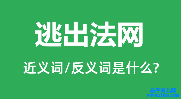 逃出法网的近义词和反义词是什么,逃出法网是什么意思