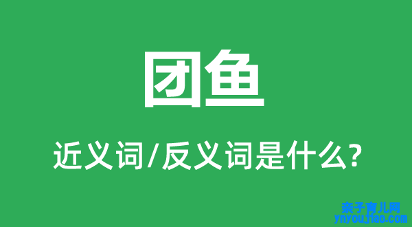 团鱼的近义词和反义词是什么,团鱼是什么意思