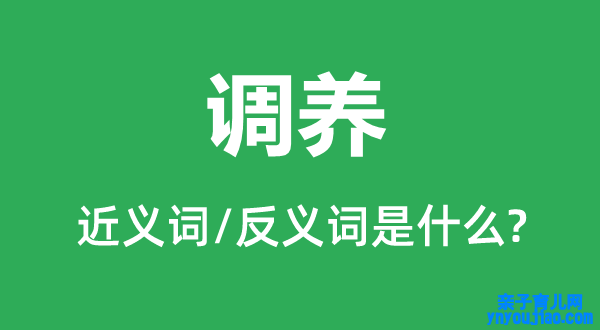 保养的近义词和反义词是什么,保养是什么意思