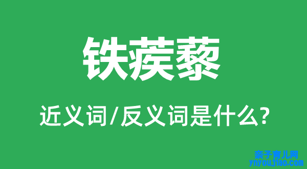 铁蒺藜的近义词和反义词是什么,铁蒺藜是什么意思