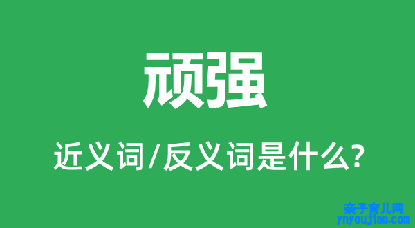 固执的近义词和反义词是什么,固执是什么意思