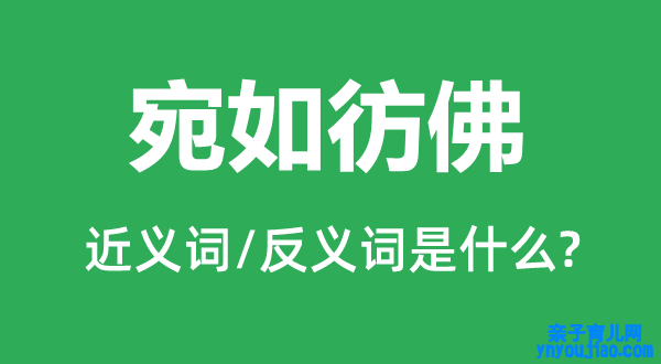 宛如彷佛的近义词和反义词是什么,宛如彷佛是什么意思