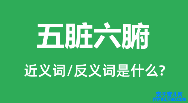 五脏六腑的近义词和反义词是什么,五脏六腑是什么意思