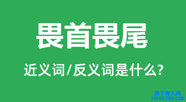 畏首畏尾的近义词和反义词是什么,畏首畏尾是什么意思