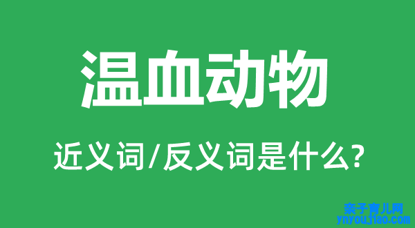 温血动物的近义词和反义词是什么,温血动物是什么意思