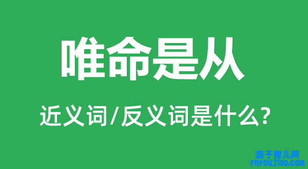 唯命是从的近义词和反义词是什么,唯命是从是什么意思