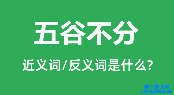 五谷不分的近义词和反义词是什么,五谷不分是什么意思