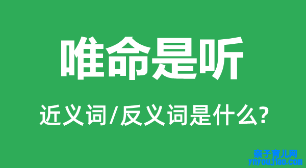 唯命是听的近义词和反义词是什么,唯命是听是什么意思