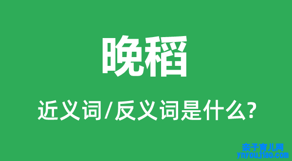 晚稻的近义词和反义词是什么,晚稻是什么意思