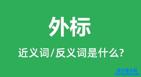 外标的近义词和反义词是什么,外标是什么意思