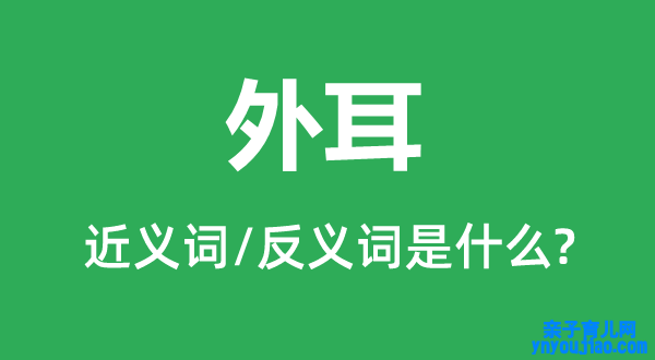 外耳的近义词和反义词是什么,外耳是什么意思