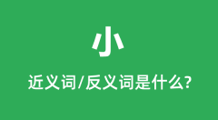 小的近义词和反义词是什么_小是什么意思?