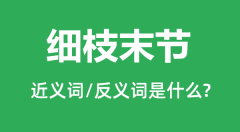 细枝末节的近义词和反义词是什么_细枝末节是什么意思?