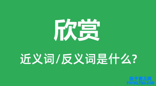 浏览的近义词和反义词是什么,浏览是什么意思