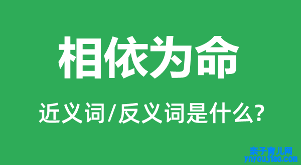 相依为命的近义词和反义词是什么,相依为命是什么意思