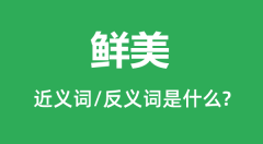 鲜美的近义词和反义词是什么_鲜美是什么意思?