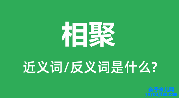 相聚的近义词和反义词是什么,相聚是什么意思