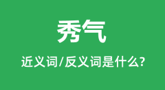 秀气的近义词和反义词是什么_秀气是什么意思?